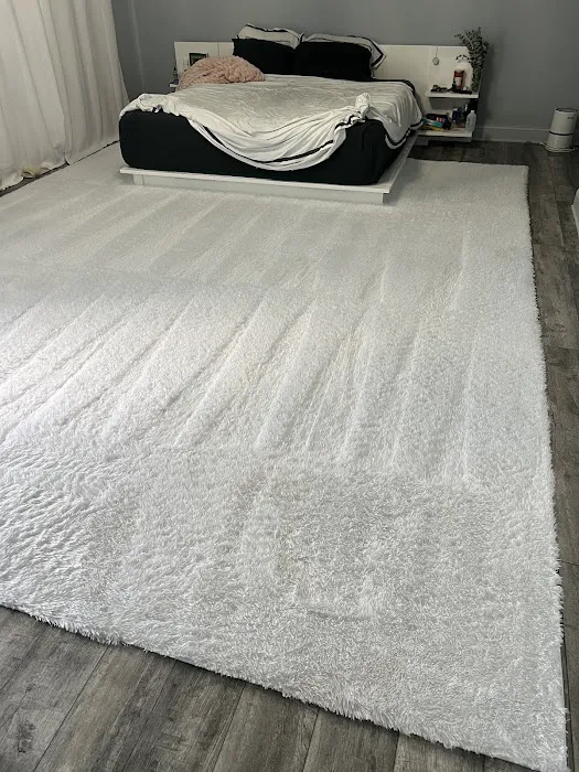 Stanley Steemer Picture 2