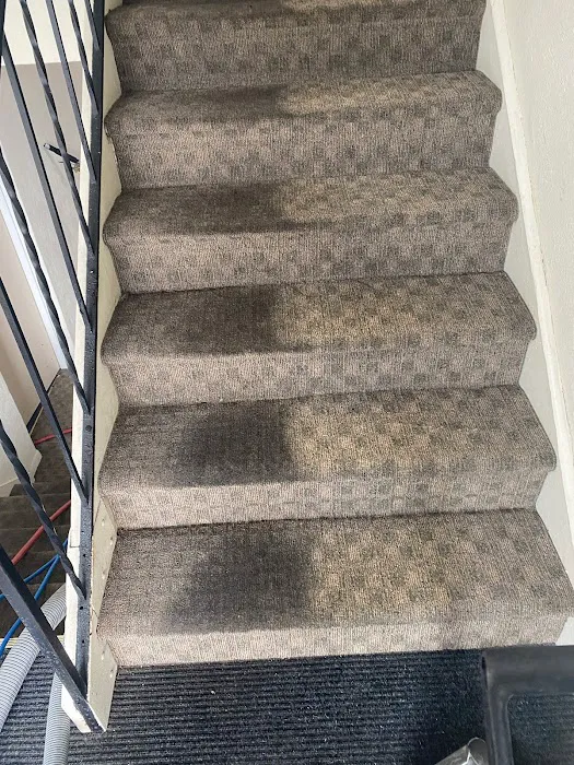 White Glove Carpet Cleaning Picture 4