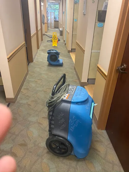 White Glove Carpet Cleaning Picture 8