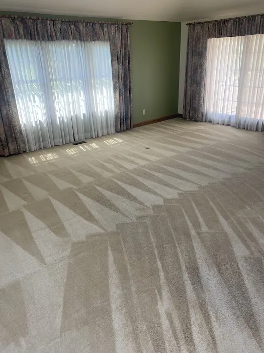 White Glove Carpet Cleaning Picture 6