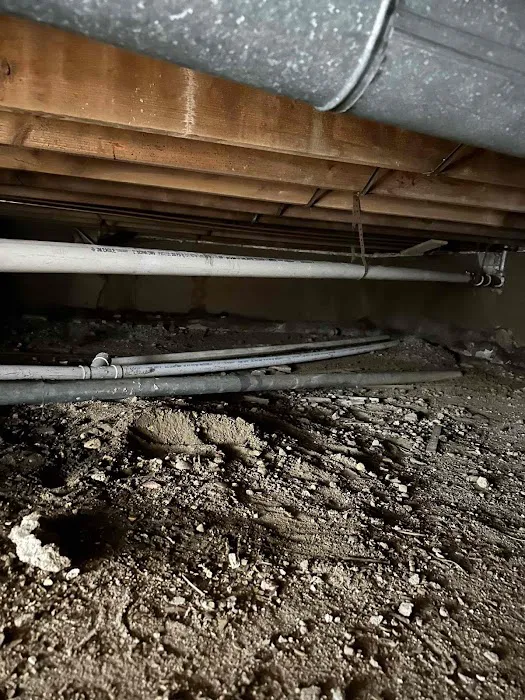 Done Right Today Picture 5