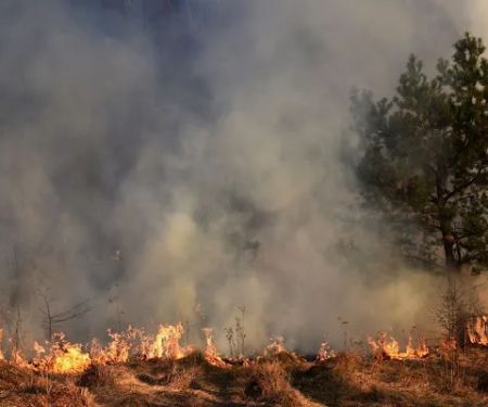 Chemical City Smoke Experts