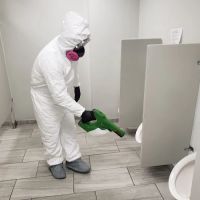 Mold Solutions & Inspections ico