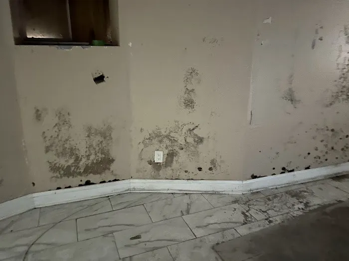 Mold Solutions & Inspections Picture 7