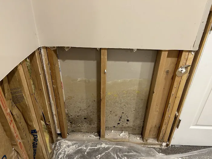 Mold Solutions & Inspections Picture 6