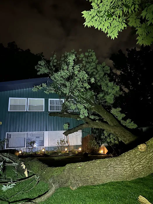 Johnston Restoration LLC Picture 4