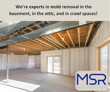 MSR Restoration Picture 2