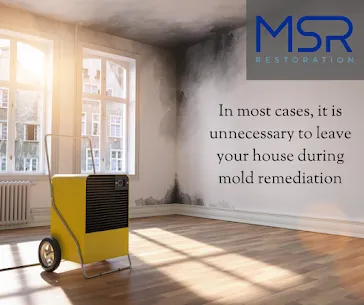 MSR Restoration Picture 4