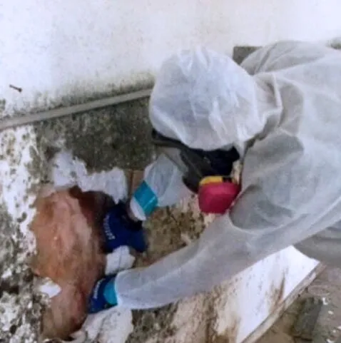 MSR Restoration Picture 9