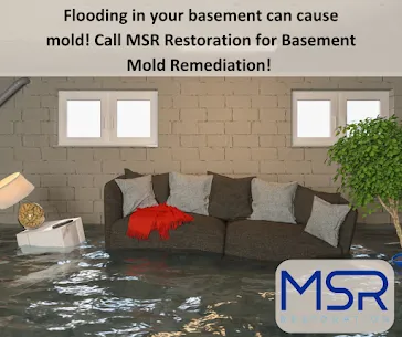 MSR Restoration Picture 5