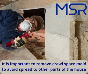 MSR Restoration Picture 8