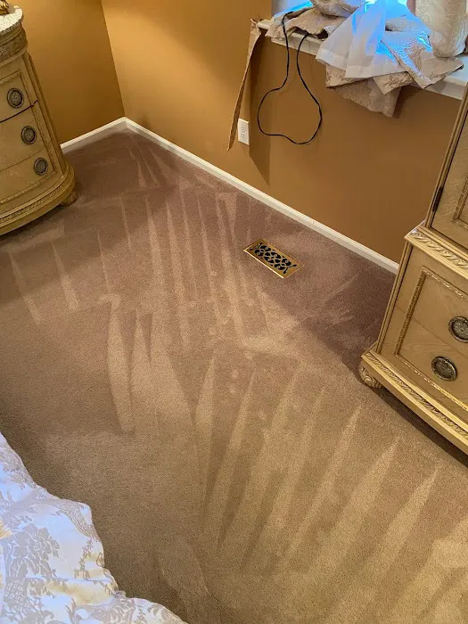 Super Steamer Carpet Cleaner Picture 7