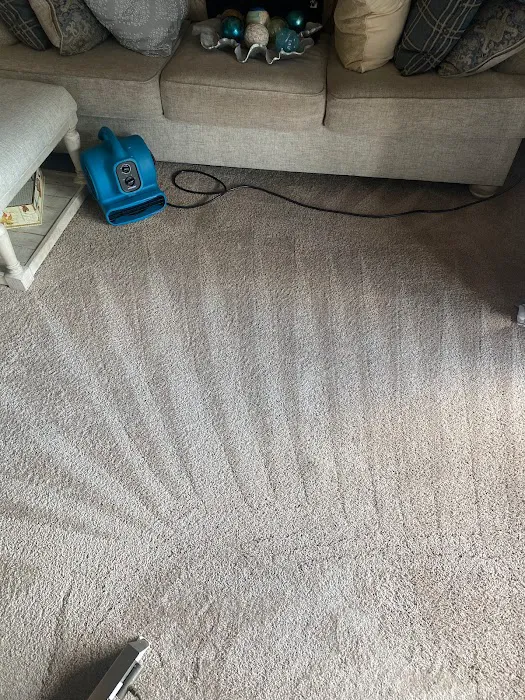 Super Steamer Carpet Cleaner Picture 4