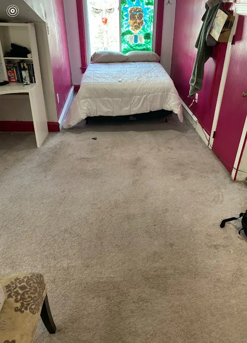 Super Steamer Carpet Cleaner Picture 8