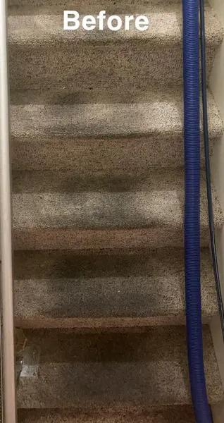 Super Steamer Carpet Cleaner Picture 1