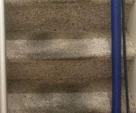 Super Steamer Carpet Cleaner