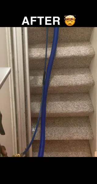 Super Steamer Carpet Cleaner Picture 3