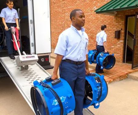 Rainbow International of Linden