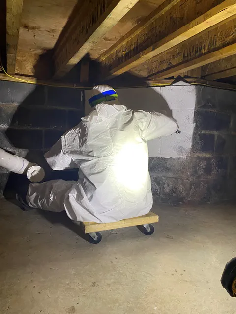 Consolidated Environmental Inc Picture 6