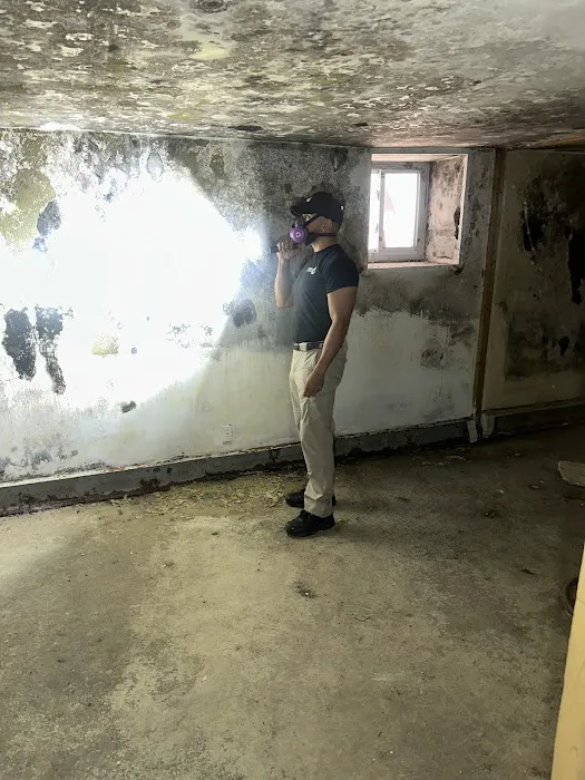 iFlooded Restoration Picture 1