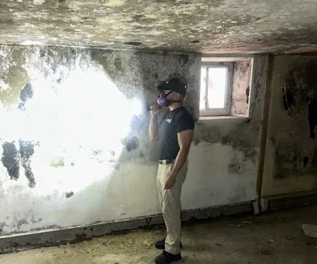 iFlooded Restoration