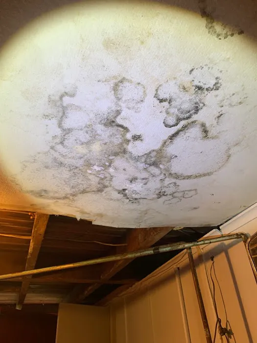 United Restoration Services Inc. Picture 6