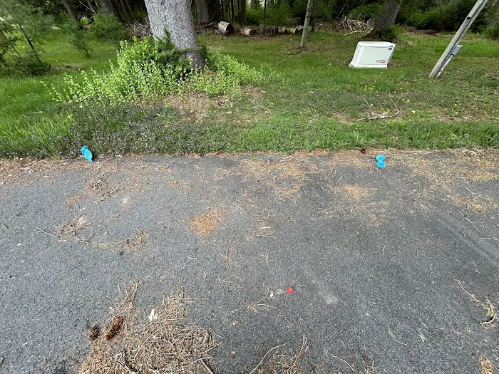 Stanley Steemer Picture 2