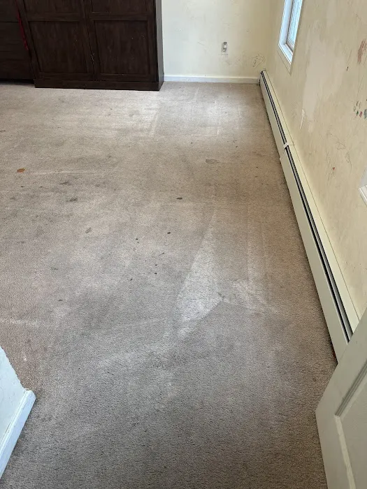 Stanley Steemer Picture 5