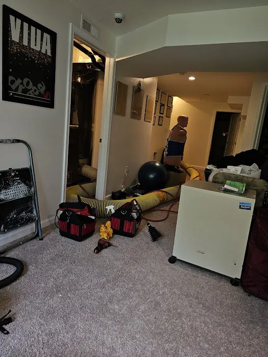 Stanley Steemer Picture 8