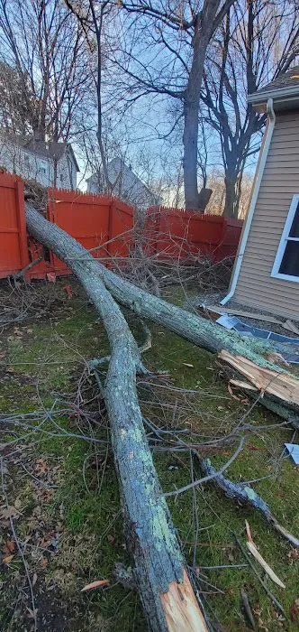 Liberty Restoration Picture 7