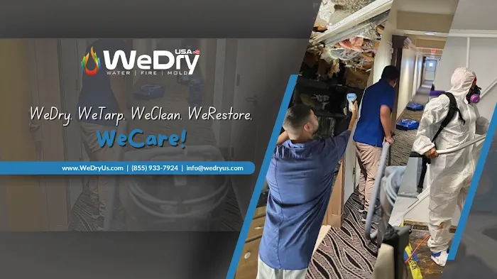 WeDry USA Picture 8