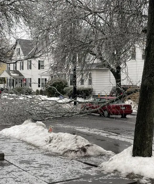 PuroClean of Poughkeepsie Picture 9