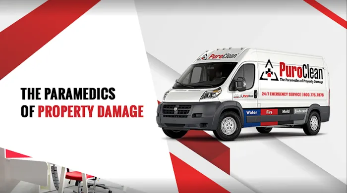 PuroClean of Poughkeepsie Picture 10