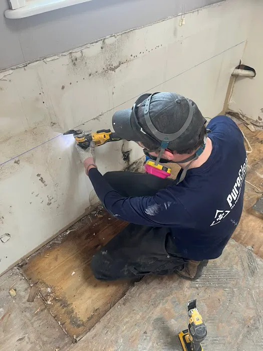 PuroClean of Poughkeepsie Picture 4