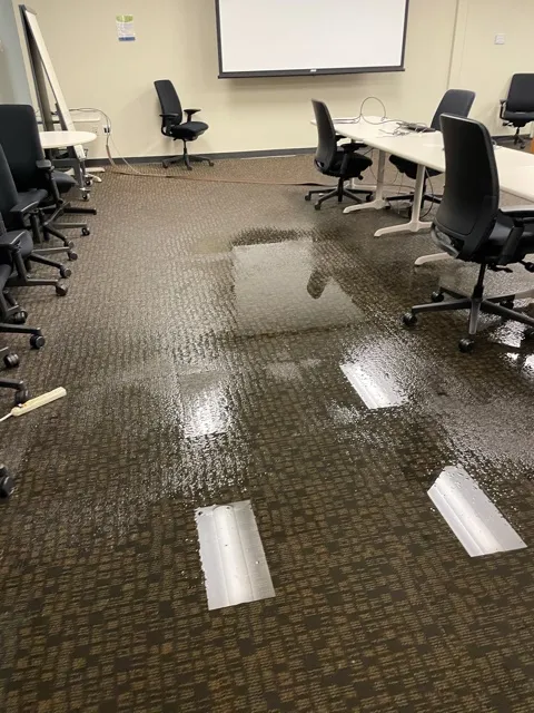 EFG Cleaning and Restoration Picture 2