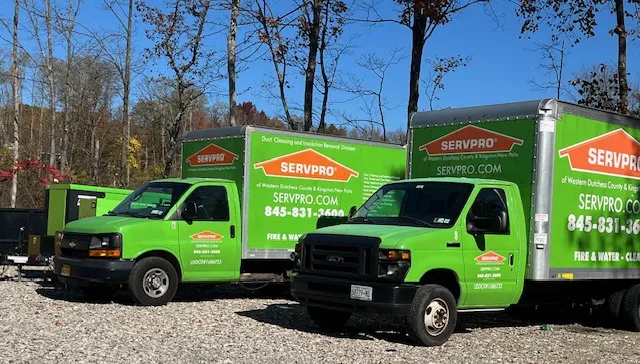 SERVPRO of Kingston/New Paltz Picture 1