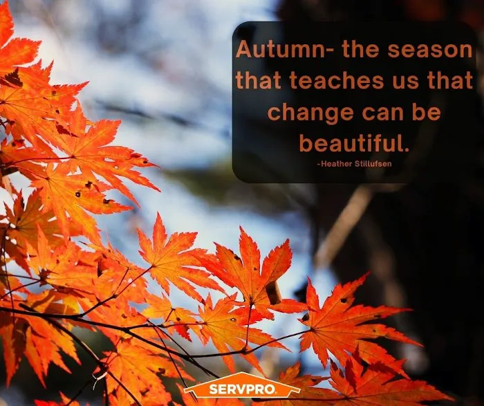 SERVPRO of Kingston/New Paltz Picture 7