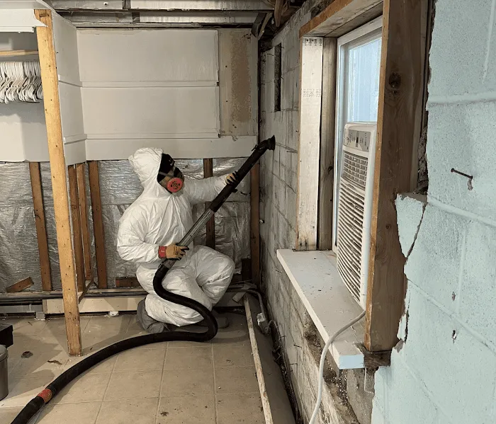 First Call Restoration Picture 9