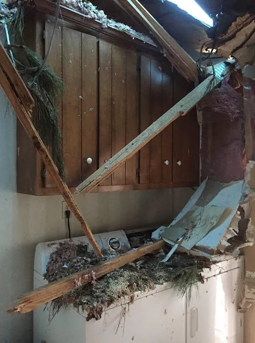 PuroClean of Northern Westchester Picture 7