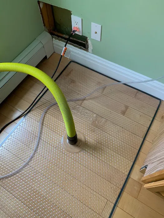 PuroClean of Northern Westchester Picture 4