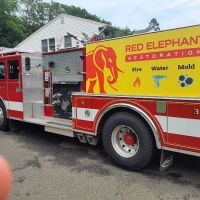 Red Elephant Restoration ico