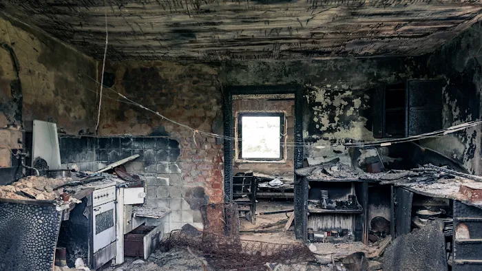 Red Elephant Restoration Picture 6