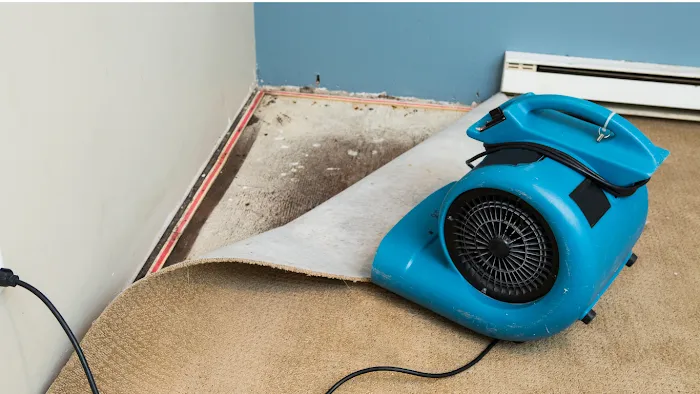 Red Elephant Restoration Picture 9