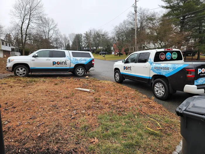 point restoration Picture 2