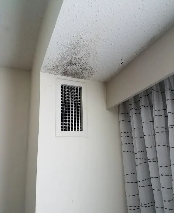 Consumer Protection Restoration Picture 5