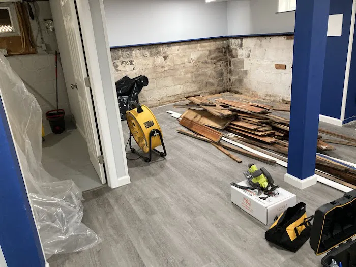 Tasice Mold Removal & Cleaning Picture 2