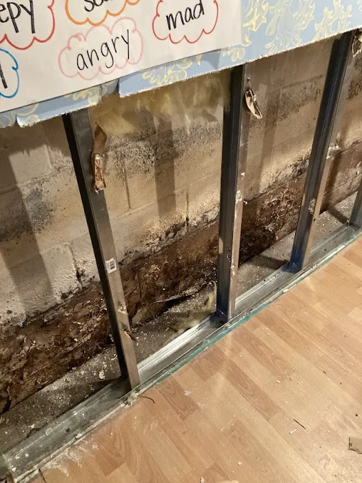 Tasice Mold Removal & Cleaning Picture 5