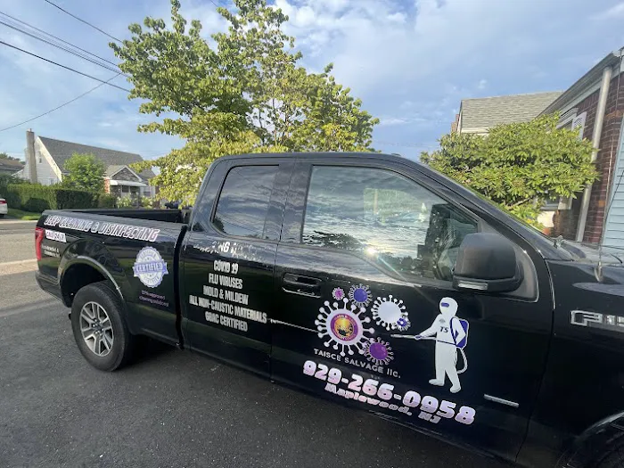 Tasice Mold Removal & Cleaning Picture 3