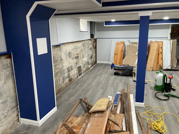 Tasice Mold Removal & Cleaning Picture 4