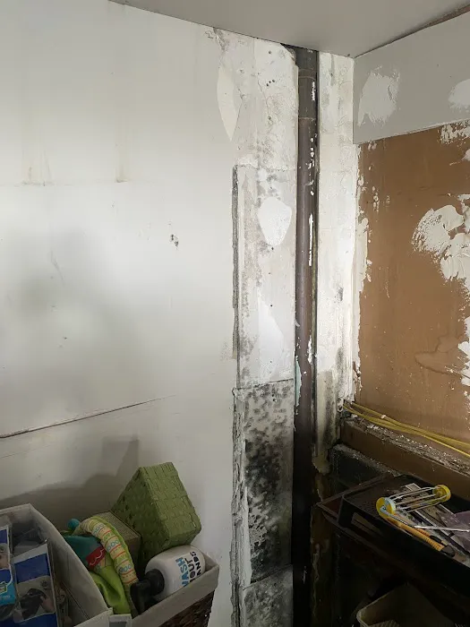 GS Mold Solution Picture 6